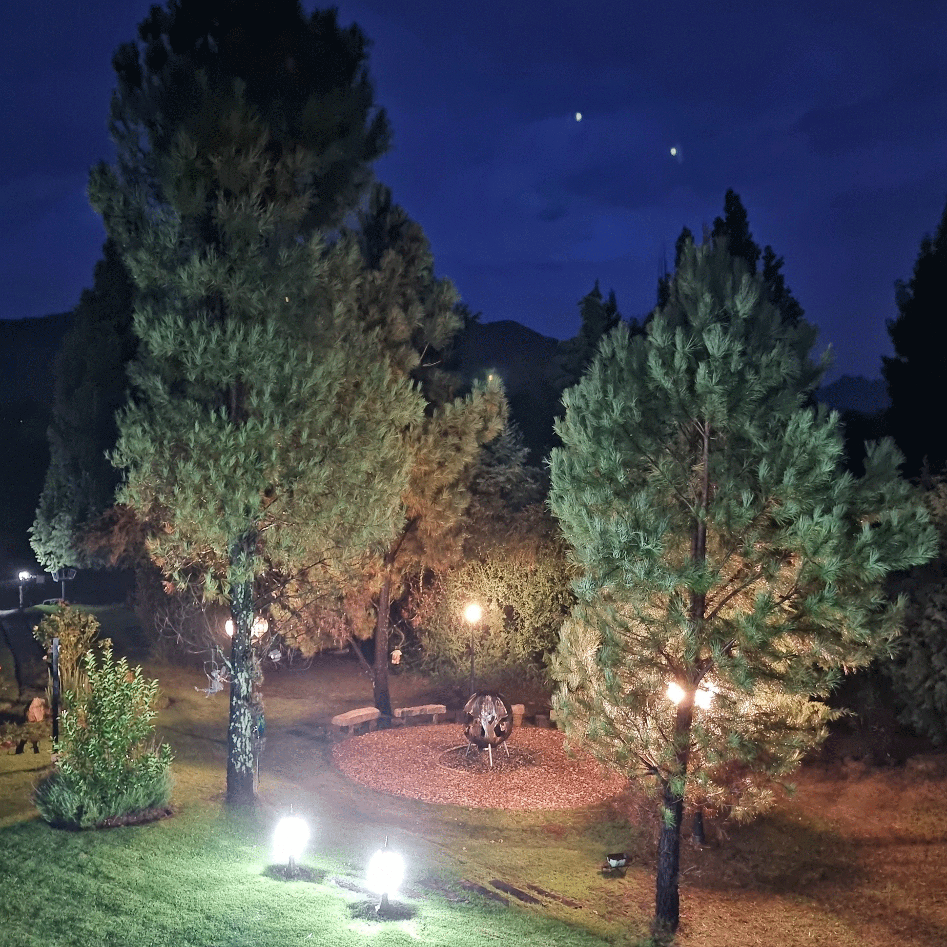 Outdoors 0001 Garden At Night 2