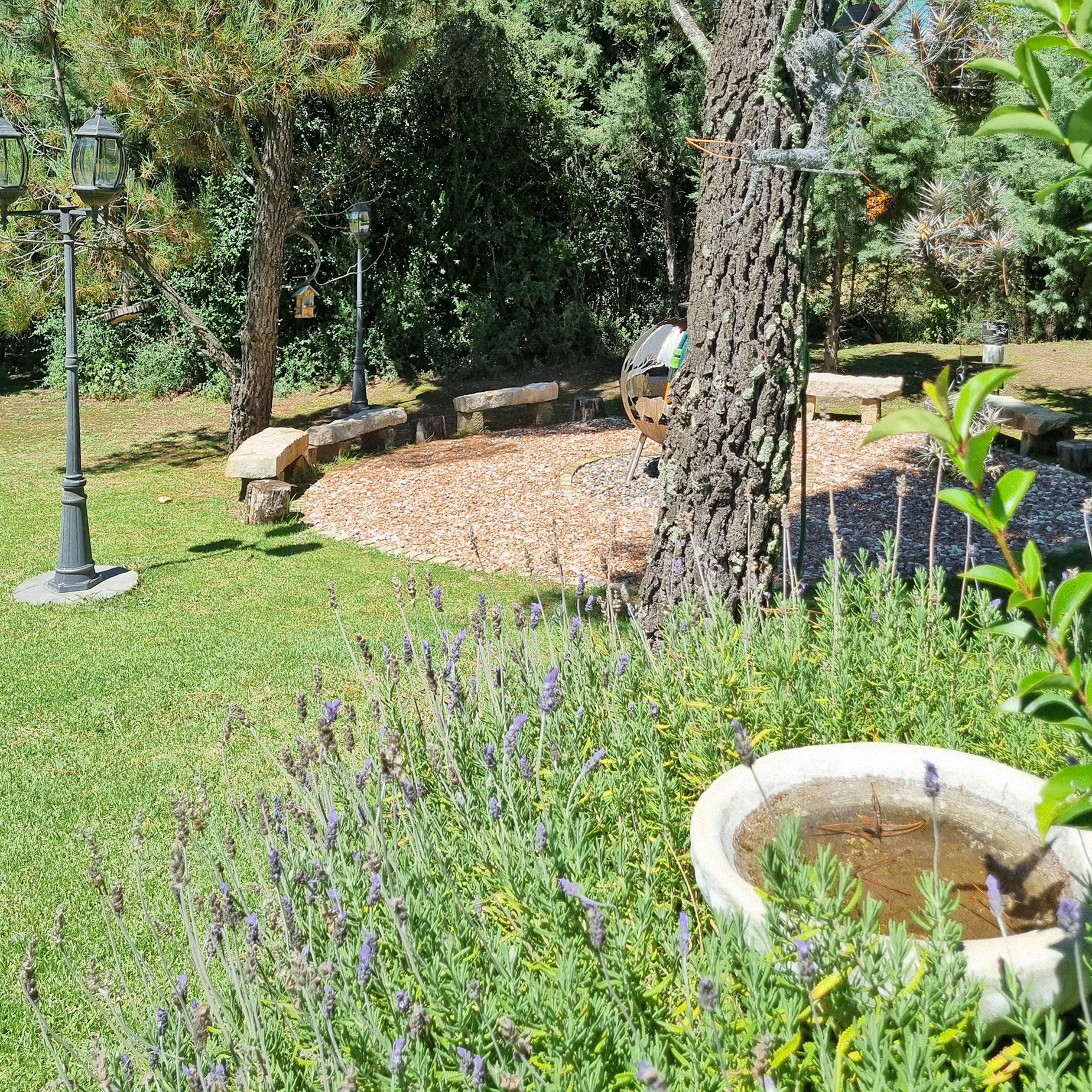 Outdoors 0016 Garden 1