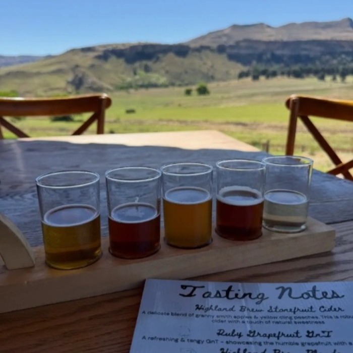 Image of Highland Brew Beer Tasting with mountain view
